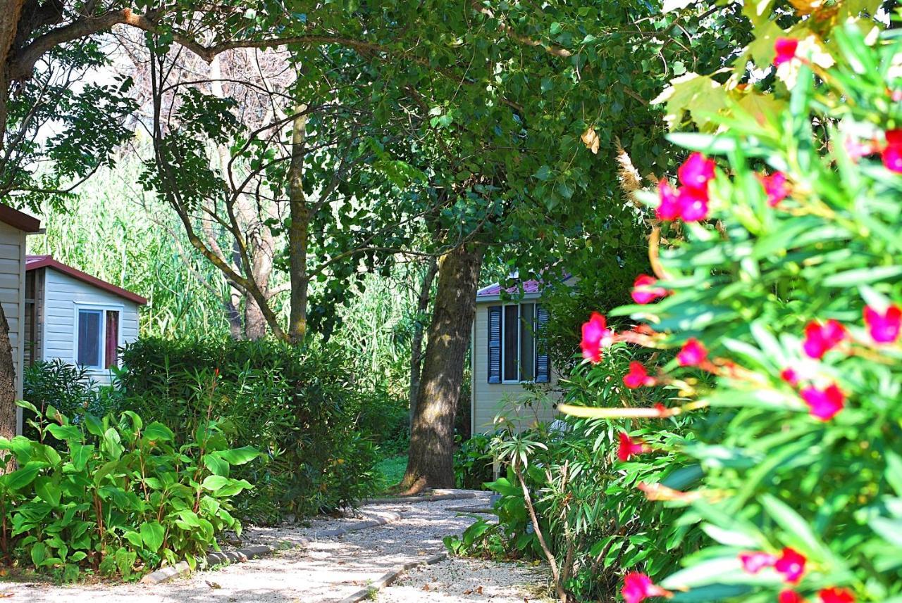 International Glamping Lago Di Bracciano Trevignano Romano Exterior foto